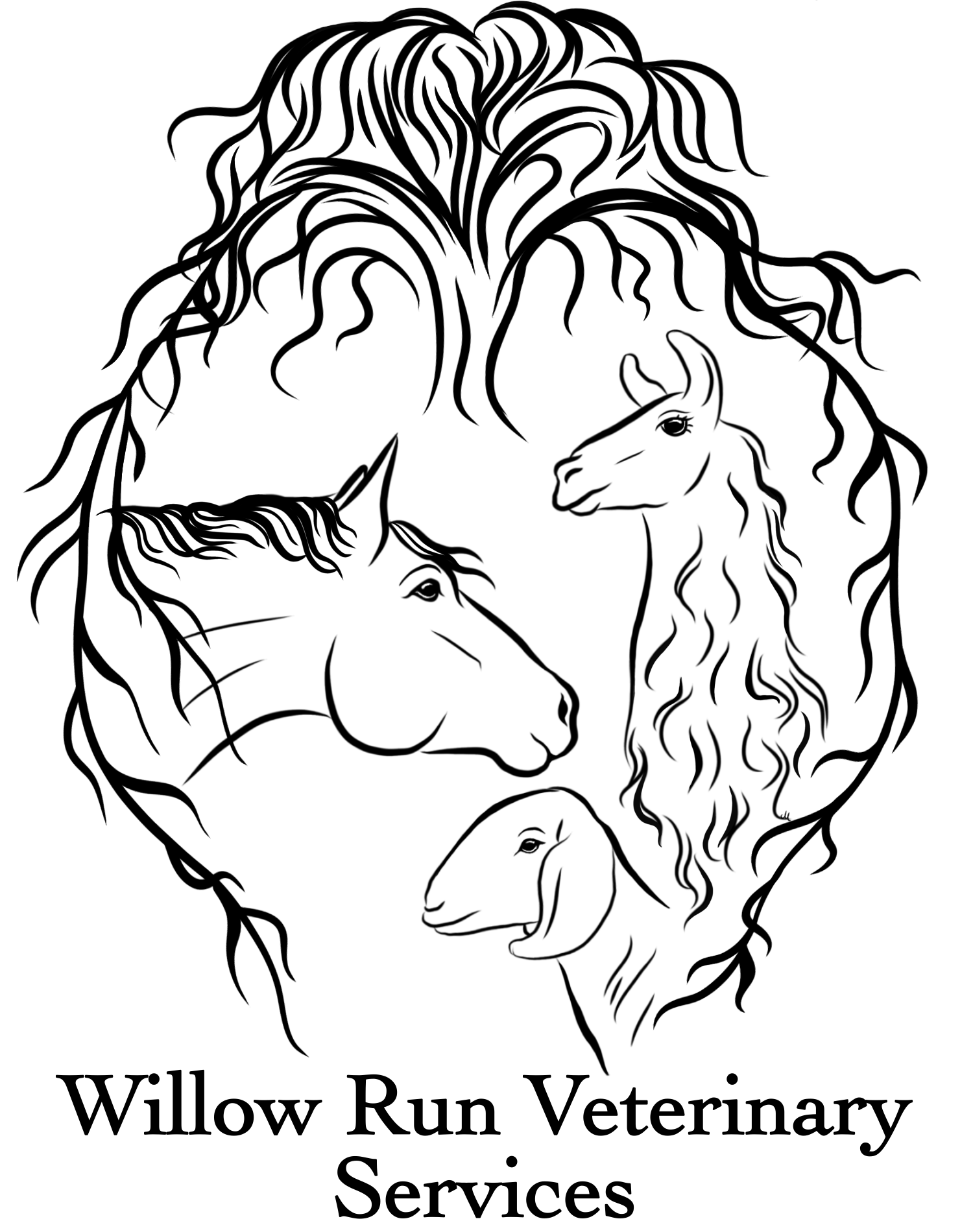 Willow Run Vet Services Logo